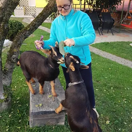 Kapl * Ledinek