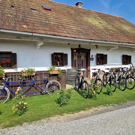 Kapl アパート Ledinek