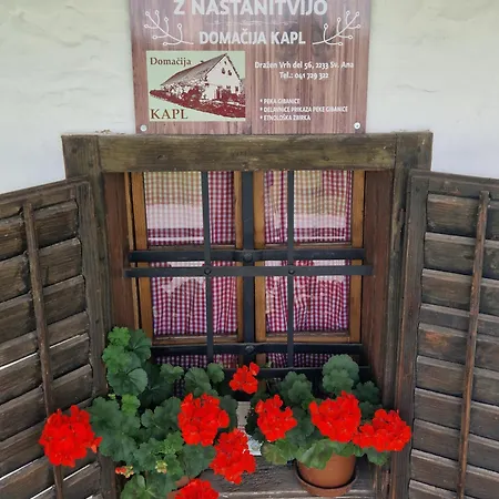 Kapl アパート Ledinek