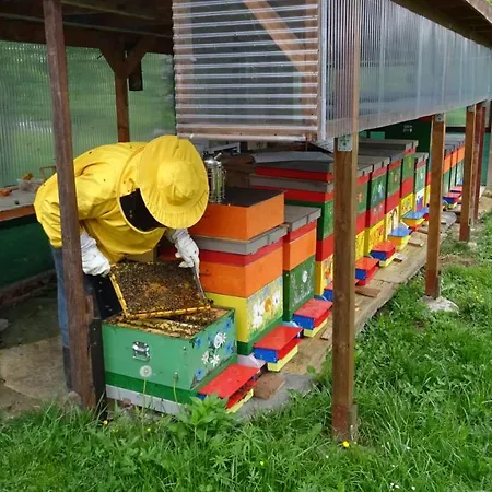 Апартаменты Kapl Ledinek